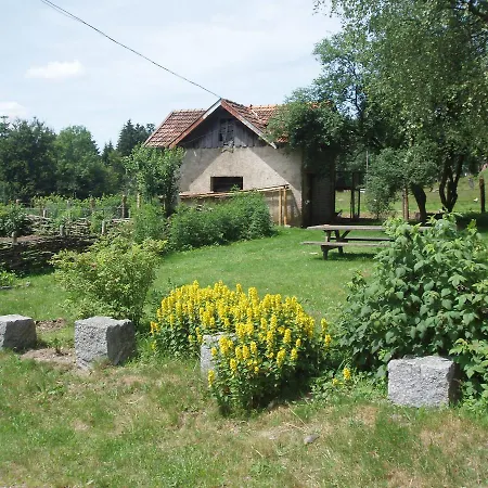 Ferme Du Haut Barba Chambres D'Hotes & Gite Liézey Exterior foto