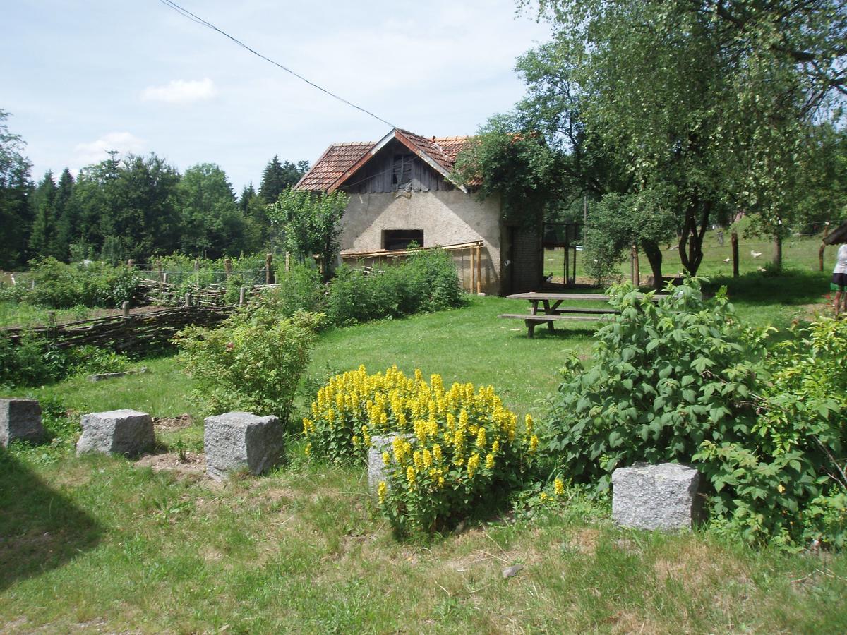Ferme Du Barba D'hotes & Liezey